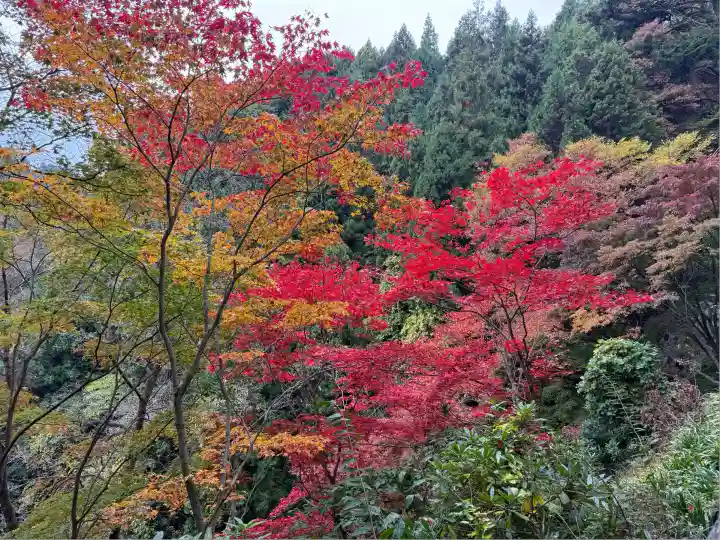 武蔵御嶽神社(東京都)