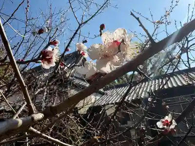 一乗院(和歌山県)