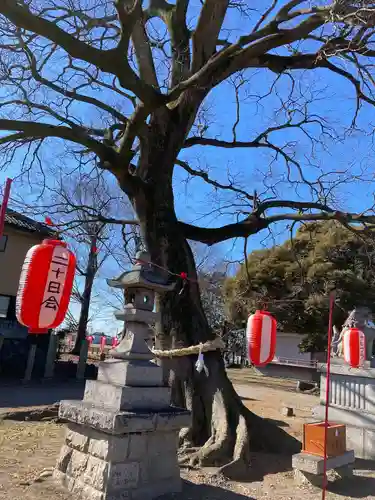 島田八坂神社の建物その他