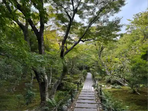 宝筐院(京都府)