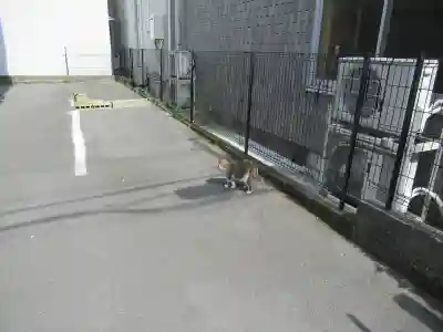 熱田神社の動物