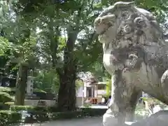 常堅寺の狛犬