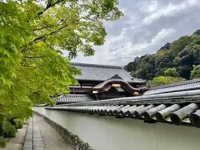 金剛寺(大阪府)