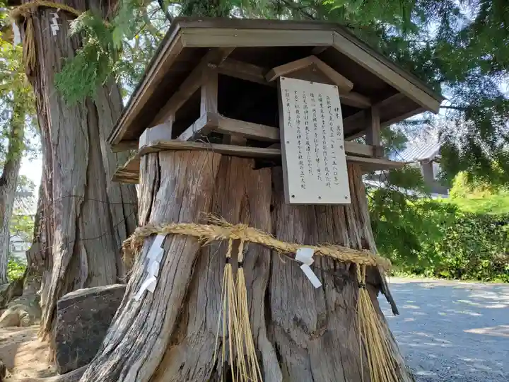 国安天満神社の自然