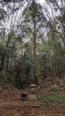 子ノ神社(東京都)