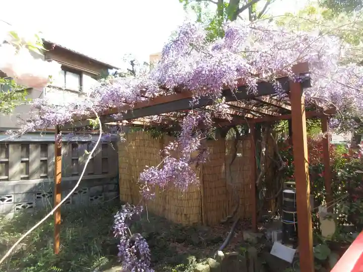 富岡八幡宮(東京都)