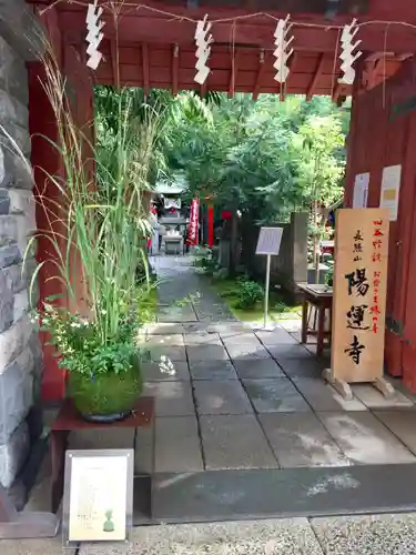 陽運寺の山門