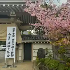 龍雲寺(東京都)