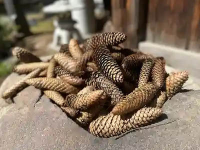 琴似神社(北海道)