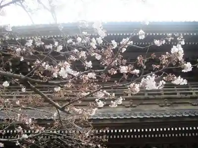 光明寺の山門・神門