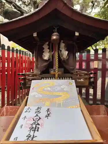 白山神社の御朱印