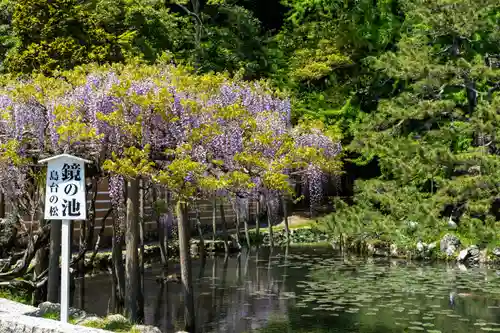 出雲大社神楽殿(島根県)