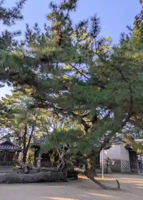 高砂神社(兵庫県)