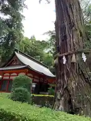 香取神宮(千葉県)