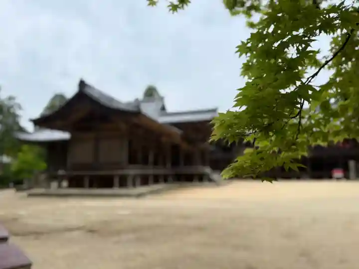圓教寺の{uncategorized: "未分類", other: "その他", undefined: "問題あり", building: "その他建物", grave: "お墓", sacred_gate: "鳥居", guardian: "狛犬", statue: "像", buddha: "仏像", history: "歴史", nature: "自然", garden: "庭園", animal: "動物", pagoda: "塔", temizu: "手水舎", mountain_gate: "山門・神門", sanctuary: "本殿・本堂", subordinate: "末社・摂社", art: "芸術", scenery: "景色", jizo: "地蔵", ema: "絵馬", goshuin: "御朱印", omikuji: "おみくじ", items: "授与品その他", amulet: "お守り", goshuincho: "御朱印帳", eats: "食事", festival: "お祭り", votive_dance: "神楽", shichigosan: "七五三参", wedding: "結婚式", experience: "体験その他", initially: "初詣", around: "周辺", anti_infection: "感染症対策"}