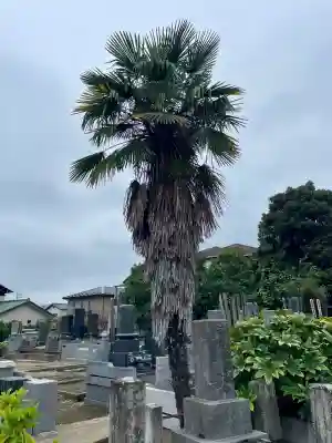 鎌ケ谷大仏(千葉県)