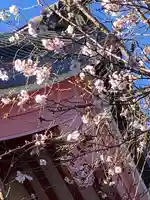 津島神社の自然