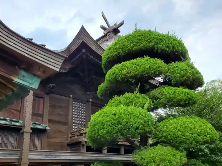八幡神社(志方八幡神社)の本殿・本堂