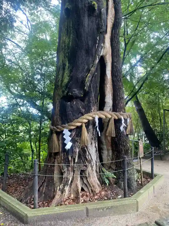 常陸國總社宮(茨城県)