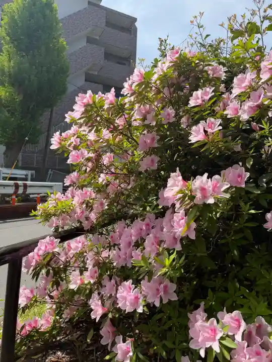 菊名池弁財天の{uncategorized: "未分類", other: "その他", undefined: "問題あり", building: "その他建物", grave: "お墓", sacred_gate: "鳥居", guardian: "狛犬", statue: "像", buddha: "仏像", history: "歴史", nature: "自然", garden: "庭園", animal: "動物", pagoda: "塔", temizu: "手水舎", mountain_gate: "山門・神門", sanctuary: "本殿・本堂", subordinate: "末社・摂社", art: "芸術", scenery: "景色", jizo: "地蔵", ema: "絵馬", goshuin: "御朱印", omikuji: "おみくじ", items: "授与品その他", amulet: "お守り", goshuincho: "御朱印帳", eats: "食事", festival: "お祭り", votive_dance: "神楽", shichigosan: "七五三参", wedding: "結婚式", experience: "体験その他", initially: "初詣", around: "周辺", anti_infection: "感染症対策"}