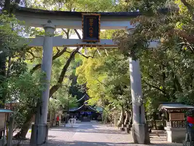 若宮八幡宮(高知県)
