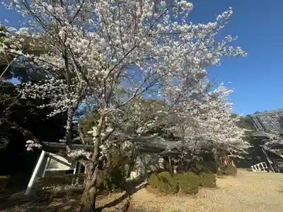 洲原神社(愛知県)
