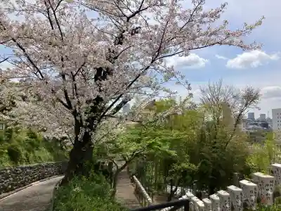 孝道山の{uncategorized: "未分類", other: "その他", undefined: "問題あり", building: "その他建物", grave: "お墓", sacred_gate: "鳥居", guardian: "狛犬", statue: "像", buddha: "仏像", history: "歴史", nature: "自然", garden: "庭園", animal: "動物", pagoda: "塔", temizu: "手水舎", mountain_gate: "山門・神門", sanctuary: "本殿・本堂", subordinate: "末社・摂社", art: "芸術", scenery: "景色", jizo: "地蔵", ema: "絵馬", goshuin: "御朱印", omikuji: "おみくじ", items: "授与品その他", amulet: "お守り", goshuincho: "御朱印帳", eats: "食事", festival: "お祭り", votive_dance: "神楽", shichigosan: "七五三参", wedding: "結婚式", experience: "体験その他", initially: "初詣", around: "周辺", anti_infection: "感染症対策"}