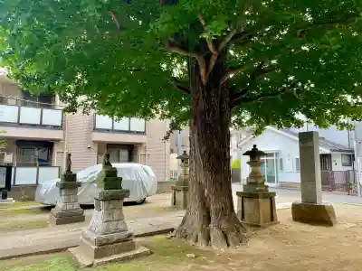 成田山不動大教会(東京都)