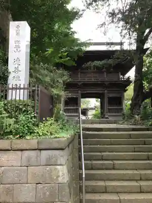 徳善寺の山門・神門