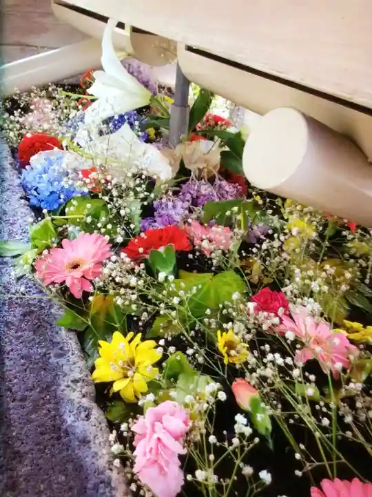 鳩森八幡神社の手水舎