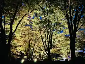 土津神社|こどもと出世の神さまの自然(2021年10月25日(月) 17時28分08秒投稿)