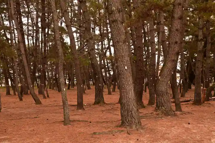 綱敷天満神社(愛媛県)