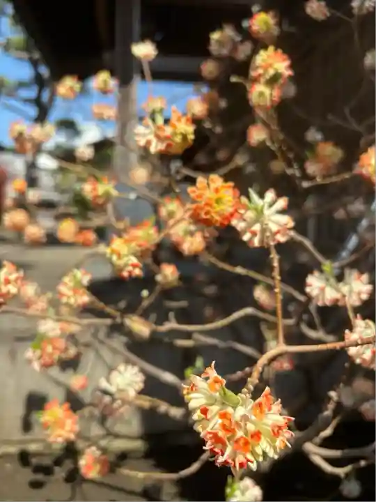 金剛寺(神奈川県)