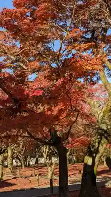 東福禅寺(東福寺)(京都府)