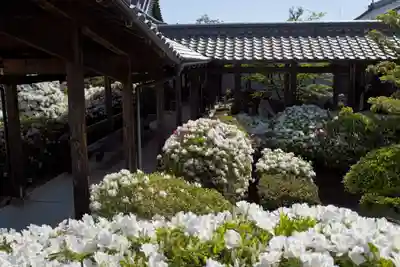 法雲寺のその他建物