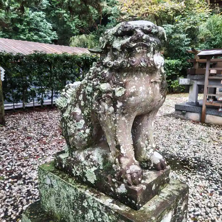 下田八幡神社の狛犬