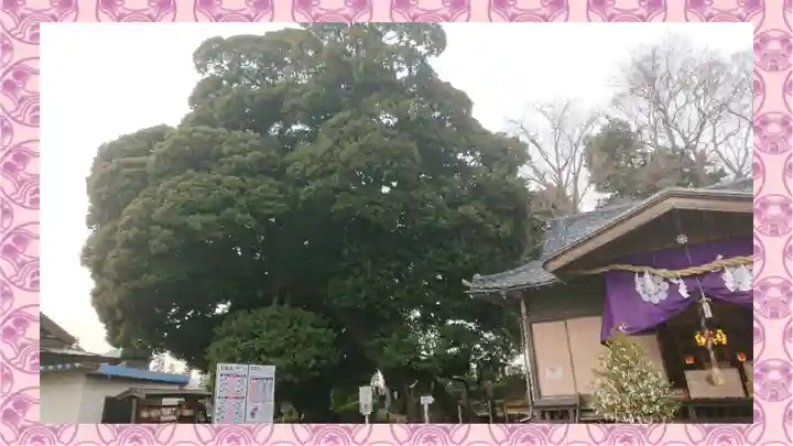 九重神社(埼玉県)