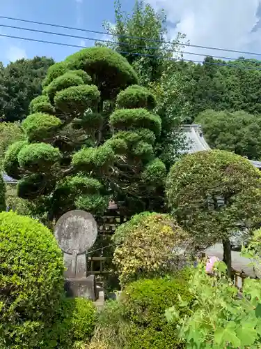 善雄寺の庭園