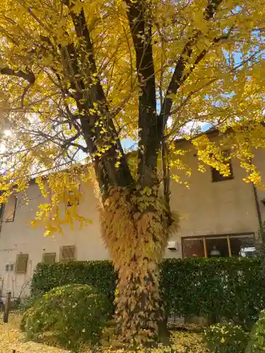 大斎原（熊野本宮大社旧社地）(和歌山県)