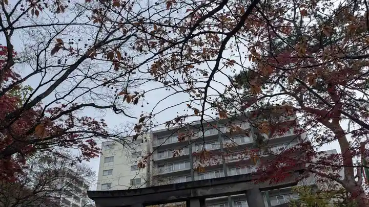 彌彦神社 (伊夜日子神社)の自然