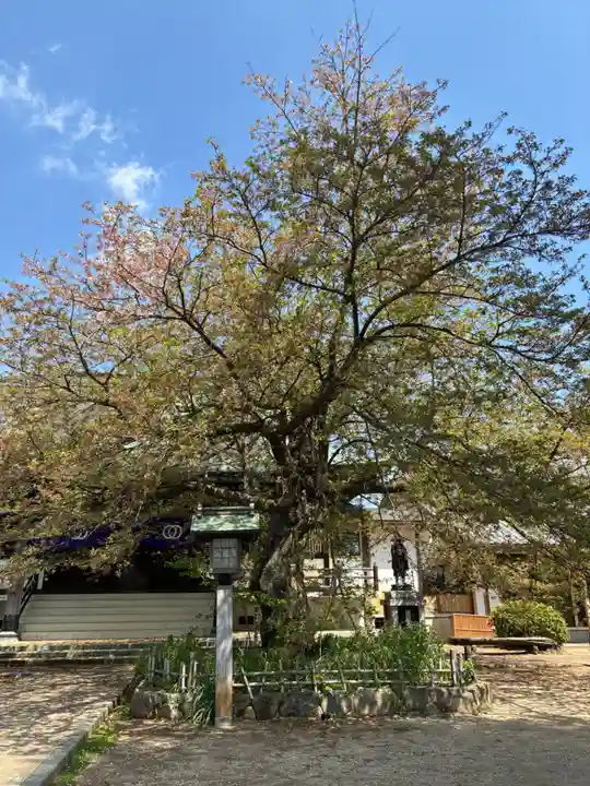 清瀧院(千葉県)