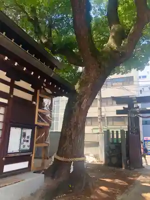 堀川戎神社(大阪府)
