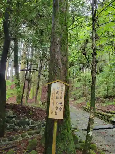 白鳥神社(宮崎県)