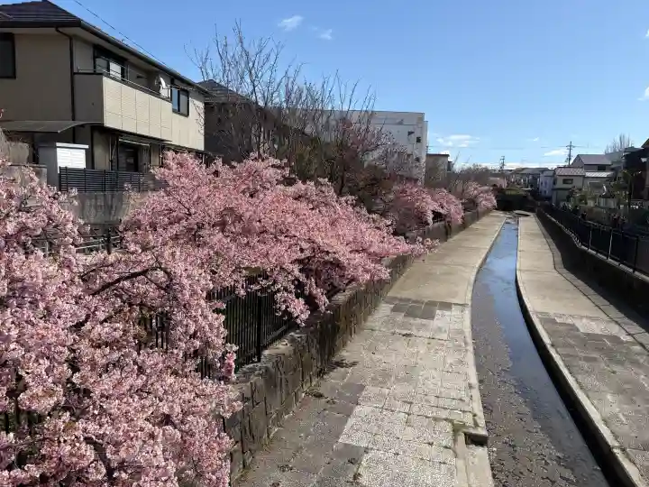 長円寺の{uncategorized: "未分類", other: "その他", undefined: "問題あり", building: "その他建物", grave: "お墓", sacred_gate: "鳥居", guardian: "狛犬", statue: "像", buddha: "仏像", history: "歴史", nature: "自然", garden: "庭園", animal: "動物", pagoda: "塔", temizu: "手水舎", mountain_gate: "山門・神門", sanctuary: "本殿・本堂", subordinate: "末社・摂社", art: "芸術", scenery: "景色", jizo: "地蔵", ema: "絵馬", goshuin: "御朱印", omikuji: "おみくじ", items: "授与品その他", amulet: "お守り", goshuincho: "御朱印帳", eats: "食事", festival: "お祭り", votive_dance: "神楽", shichigosan: "七五三参", wedding: "結婚式", experience: "体験その他", initially: "初詣", around: "周辺", anti_infection: "感染症対策"}