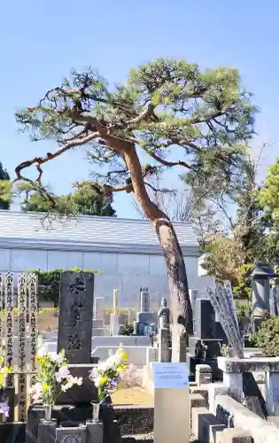 禅林寺の{uncategorized: "未分類", other: "その他", undefined: "問題あり", building: "その他建物", grave: "お墓", sacred_gate: "鳥居", guardian: "狛犬", statue: "像", buddha: "仏像", history: "歴史", nature: "自然", garden: "庭園", animal: "動物", pagoda: "塔", temizu: "手水舎", mountain_gate: "山門・神門", sanctuary: "本殿・本堂", subordinate: "末社・摂社", art: "芸術", scenery: "景色", jizo: "地蔵", ema: "絵馬", goshuin: "御朱印", omikuji: "おみくじ", items: "授与品その他", amulet: "お守り", goshuincho: "御朱印帳", eats: "食事", festival: "お祭り", votive_dance: "神楽", shichigosan: "七五三参", wedding: "結婚式", experience: "体験その他", initially: "初詣", around: "周辺", anti_infection: "感染症対策"}