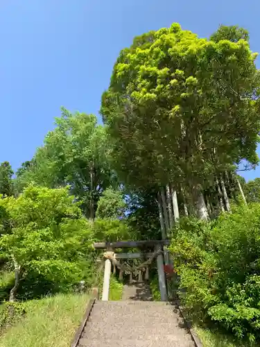 天照神社の鳥居