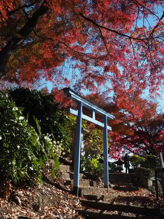 足利織姫神社の鳥居