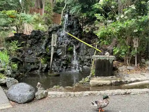 平塚八幡宮(神奈川県)