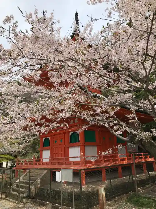 金剛宝寺(紀三井寺)の自然