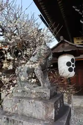 北野天満宮の{uncategorized: "未分類", other: "その他", undefined: "問題あり", building: "その他建物", grave: "お墓", sacred_gate: "鳥居", guardian: "狛犬", statue: "像", buddha: "仏像", history: "歴史", nature: "自然", garden: "庭園", animal: "動物", pagoda: "塔", temizu: "手水舎", mountain_gate: "山門・神門", sanctuary: "本殿・本堂", subordinate: "末社・摂社", art: "芸術", scenery: "景色", jizo: "地蔵", ema: "絵馬", goshuin: "御朱印", omikuji: "おみくじ", items: "授与品その他", amulet: "お守り", goshuincho: "御朱印帳", eats: "食事", festival: "お祭り", votive_dance: "神楽", shichigosan: "七五三参", wedding: "結婚式", experience: "体験その他", initially: "初詣", around: "周辺", anti_infection: "感染症対策"}